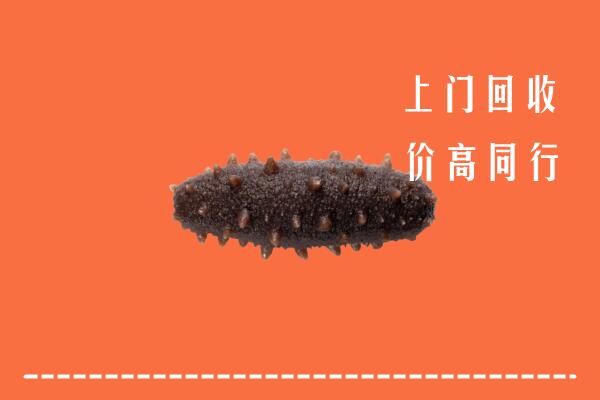 潮南区回收海参