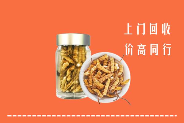 潮南区高价回收冬虫夏草