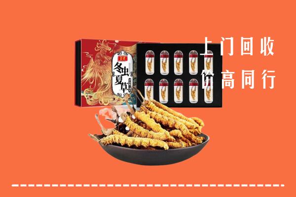 潮南区回收虫草